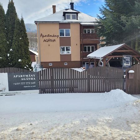 Apartmany Agatha Loučná nad Desnou Exterior foto